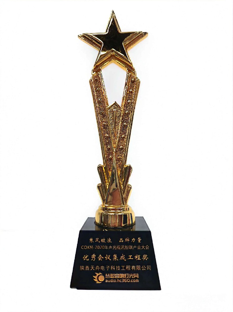 COK杯2020年声光视讯智联产业优秀会议集成工程奖.jpg
