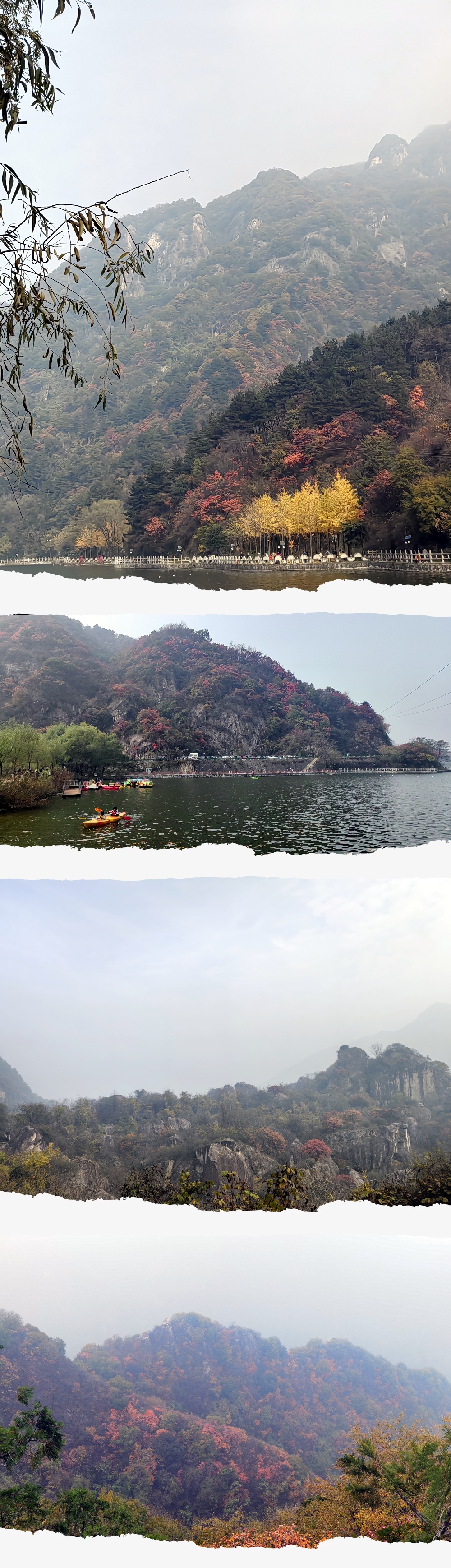 风景照.jpg